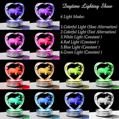 Qianwei Hippo Gifts for Women 3D Crystal Heart - Laser Hippo Decor Glass Animals Hippopotamus Gifts Figurines Statue Stuff for Room Decorations Hippopotamus Night Light