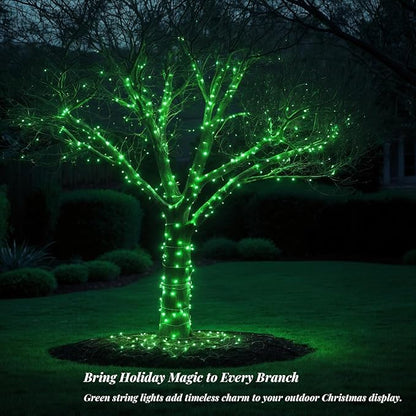 Etinga 200 LED Green String 66ft, Plug in Fairy with 8 Modes, Indoor Outdoor Decoration for St. Patrick's Day, Christmas, Garden, Bedroom, Patio (Green, 200 LEDs, 66ft)