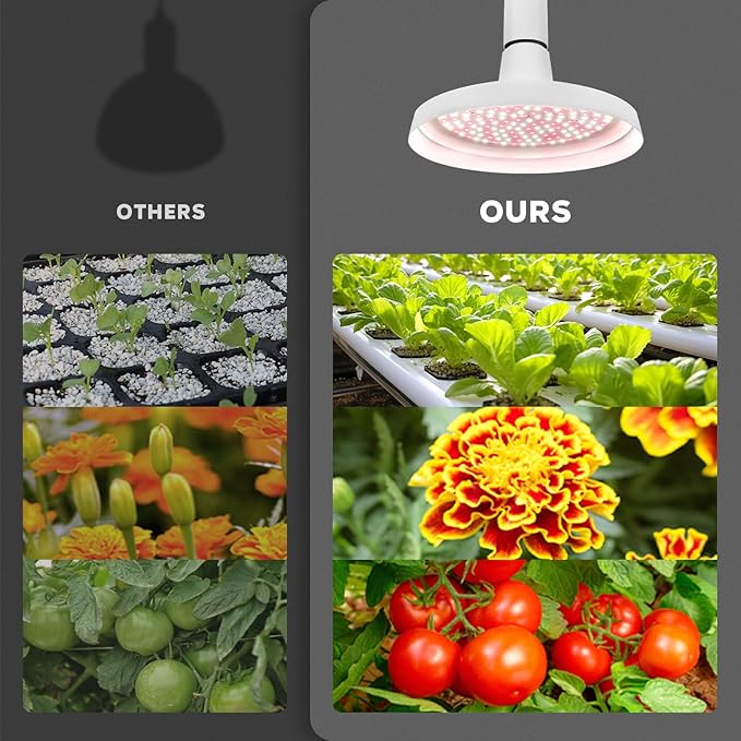 Hanging Grow Lights, 30W Full Spectrum, with Timer and 16.4FT Power Cord, Plant Lights for Indoor Growing, Garden, Flowers, Greenhouse (30W Grow Light(Timer))
