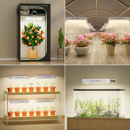 KingLED KP4000 LED Grow Light for Indoor Plants, Full Spectrum Plant Light with Veg & Bloom Mode, 400W Hanging Growing Lamp for Seed Starting Seedlings Vegetable Hydroponic Greenhouse, 5x5 Grow Tent