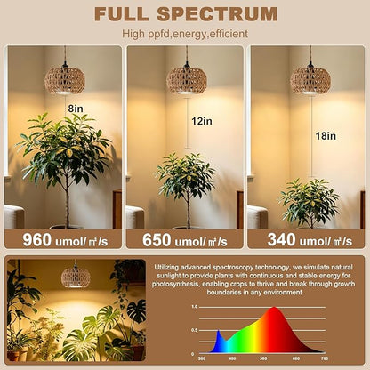 Hanging Grow Light for Indoor Plants, 30W 4000K Full Spectrum LED Pendant with Timer, Hand-Woven Shade, 15FT Cord, Kit for Office Desk, Bookshelf, Cube Decor, Low Light Spaces