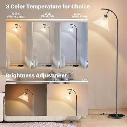 SIBRILLE Glass Floor Lamp, Dimmable Black Standing Lamp with Remote Control & 3 Color Temperatures, Modern Arc Floor Lamps for Living Room Bedroom Office Corner, 9W LED Bulb Included