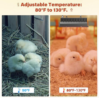 Chicken Coop Heat Lamp for Dog Kennel, Cat Bed, Reptiles & Incubators - 250W Adjustable Heat Lamp with 2 Heat Settings for Poultry, Livestock, and Pets