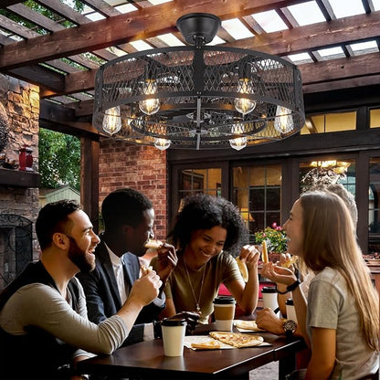 Depuley Outdoor Ceiling Fan with Light: 26" Caged Ceiling Fans with Remote Control for Patio Kitchen Bedroom - Farmhouse Fandelier Flush Mount Lights Fixture Reversible 6 Speed Timer Black