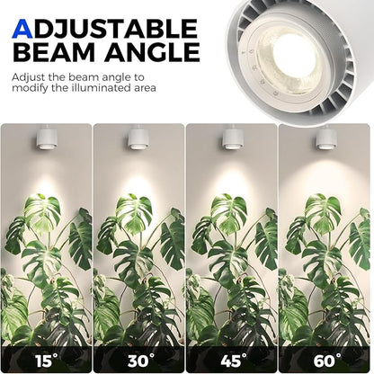 Barrina TR40 Hanging Grow Lights for Indoor Plants, 40W 4000K Full Spectrum, Adjustable Beam Angle 15°-60°, Hanging Grow Light with Mechanical Timer and 16.4FT Power Cord, for Garden Greenhouse, White