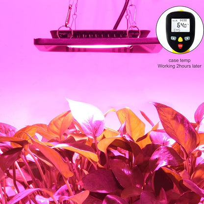 Waterproof 100W LED Grow Light Full Spectrum, New Technology COB LED Grow Light, Natural Heat Dissipation Without Noise, Suitable for Plants All Growing Stage Indoor or Outdoor.
