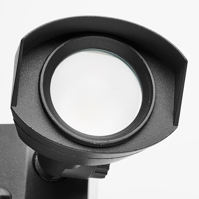 Nuvo 65/220 LED Dual-Head Security Light, 4000K, Black