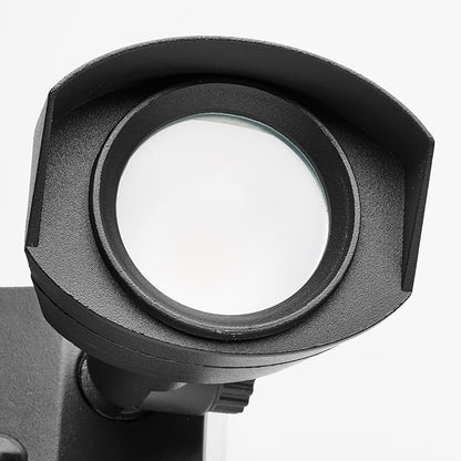 Nuvo 65/220 LED Dual-Head Security Light, 4000K, Black