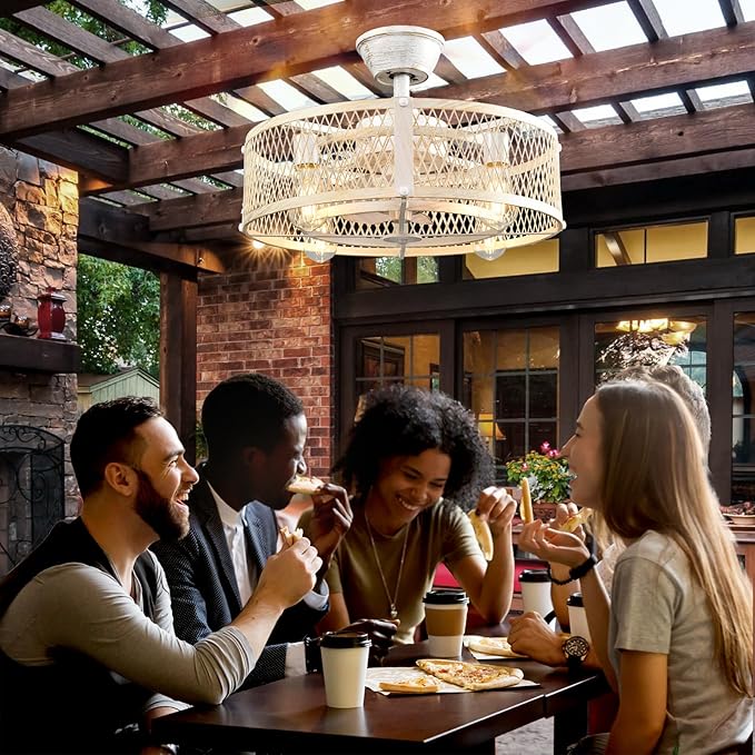Depuley Outdoor Ceiling Fan with Light: 20" Caged Ceiling Fans with Remote Control for Patio Kitchen Bedroom - Farmhouse Fandelier Flush Mount Lights Fixture Reversible 6 Speed Timer Cement