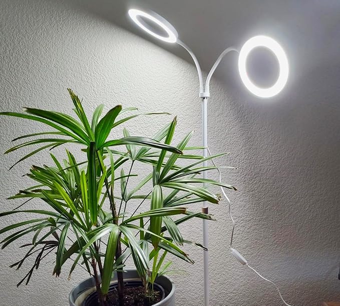 Grow Lights for Indoor Plants, 2-Head Full Spectrum LED Plant Light with Stand, 67" Adjustable Height, 3/9/12H Timer, 10 Dimmable Levels & 3 Lighting Modes