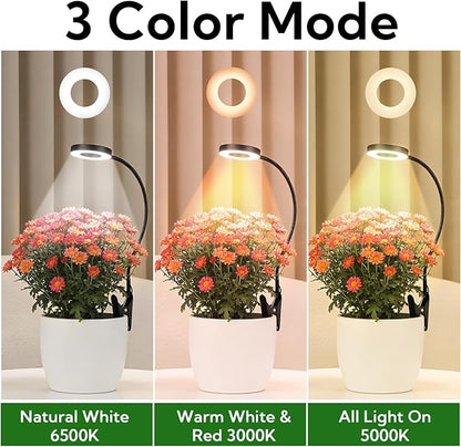 Grow Lights for Indoor Plants - 2 in 1 Grow Lights for Indoor Plants 3 Colors Plant Lights with 360 Gooseneck 48 LEDs Full Spectrum Plant Lights Auto Timer 3/9/12Hrs, 10 Brightness 6 Pack（Black）