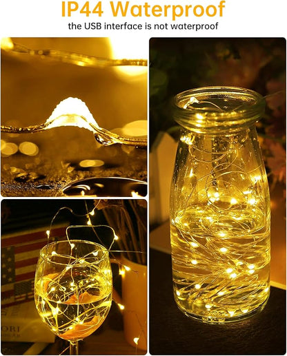 Blingstar USB Powered Fairy Lights, 2 Pack 33Ft 100 LED, Flexible Silver Wire, Mini String Lights for Christmas Tree/Bedroom/Camping/Holiday Indoor Decoration, Warm White