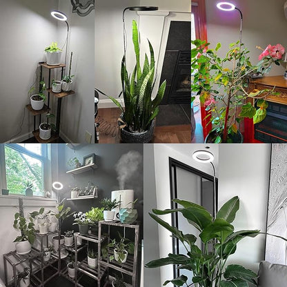 Grow Lights for Indoor Plants, Full Spectrum Plant Lights for Indoor Growing with 3/9/12H Auto Timer, 3 Spectrum Modes, 10-Level Dimmable, 68" Height Adjustable for Growing Large Tall Plants