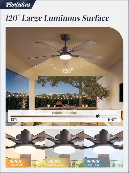 52 Inch Ceiling Fan with Light and Remote, 6 Speeds Reversible DC Motor Ceiling Fans for Bedroom Living Room Patio, 3CCT Dimmable LED, 5 Wood Blades, Downrod Mount, Sloped Ceiling Compatible