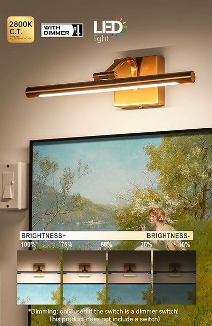 Picture Light for Wall 15.7 inch Hardwired Art Lighting for Paintings Gold Brass 2800K Dimmable Gallery Light with Rotatable Light Tube