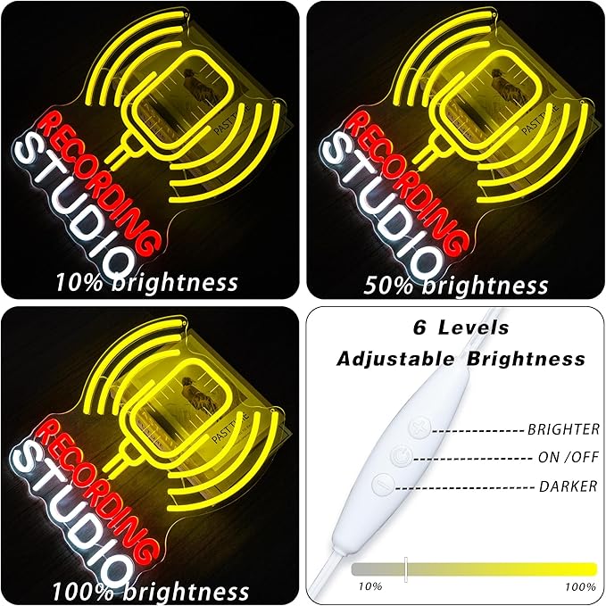 Recording Studio Neon Sign Microphone LED Light for Music Room Decor, Vintage Mic Wall Art for Home Studio Podcast Room, Singer Musician Gifts, Karaoke Bar Wall Decoration(12.2 * 14.5inch)