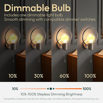 ALAMPEVER Modern Wall Sconce with Pull Chain, Metal Silver Wall Lights with G125 Glass Globe Bulb, Wall Mount Light for Enhancing Indoor Ambience in Bedroom, Living Room, and Hallway, 1 Pack