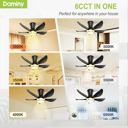 DAMINY 30 Inch Black and Gold 5 Blade Ceiling Fan with Light, Modern Ceiling Fan with Remote,Large Airflow,Flush Mount,6CCT,Dimmable,Noiseless,Bedroom