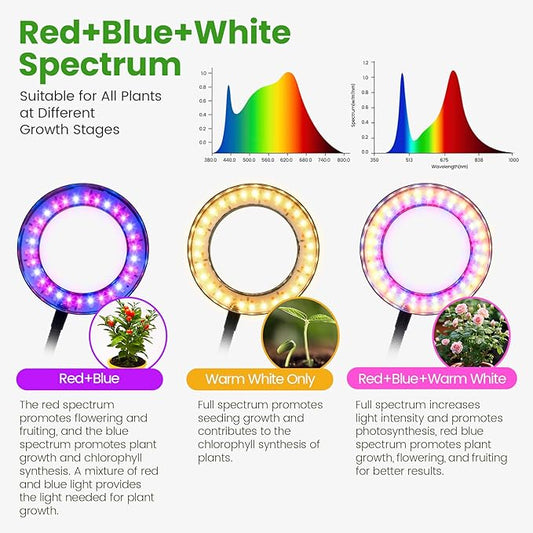 Desk Grow Lights for Indoor Plants, Red Blue Full Spectrum Desktop LED Plant Growing Lamps, Height Adjustable 13.7-24.2inch, 3/9/12H Auto Timer,10 Levels Dimmable, Black Table Growth Light