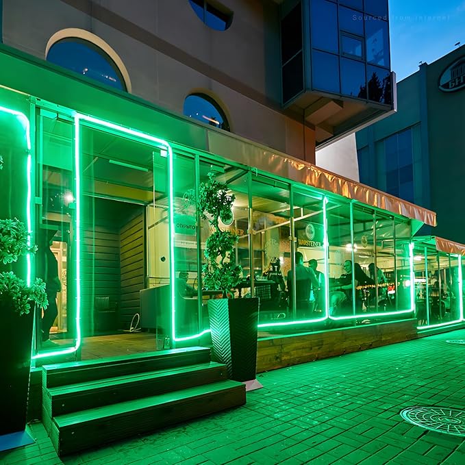 LEONLITE 50FT LED Neon Rope Lights, Outdoor IP67 Waterproof, Christmas Festival Decor, 120V UL Plug, ETL Connectable LED Neon Strip Lights for Shop Sign, Max 3 Sets(150FT), Green Light