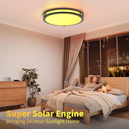 Kalium Ceiling Lights Flush Mount with Remote: LED Black Ceiling Lighting 8 Modes Dimmable Color, Adjustable Temperature for Bedroom, Living Room, Kitchen (16 Inch)