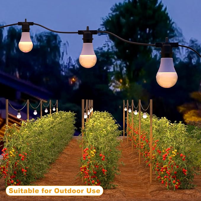 LED Grow Light Bulbs with E26 Base, 45W Durable 12 ft String Grow Lights, Waterproof Hanging Full Spectrum A25 Plant Lighting for Seeds, Flowers, Succulents, Indoor & Outdoor Use (3 Lights)