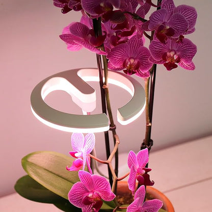 Halo 360 LED Plant Light (2 - Pack)