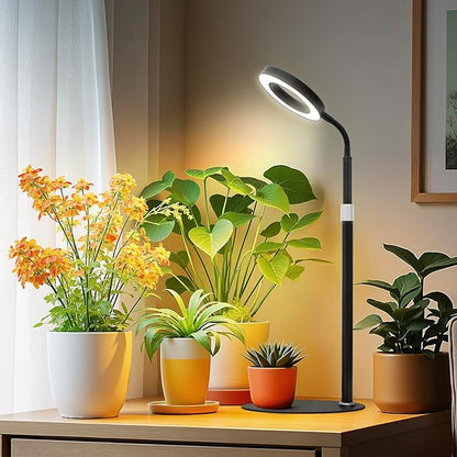 Desk Grow Lights for Indoor Plants, Red Blue Full Spectrum Desktop LED Plant Growing Lamps, Height Adjustable 13.7-24.2inch, 3/9/12H Auto Timer,10 Levels Dimmable, Black Table Growth Light