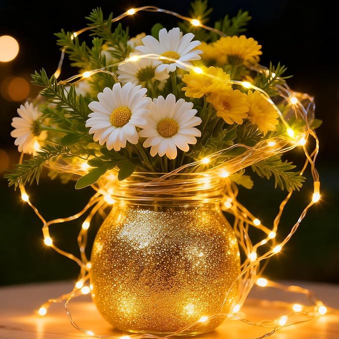 1Pack USB Plug in Fairy String Lights,16ft 50 LED Copper with Remote and Timer, 8 Modes Waterproof Twinkle String Lights Battery Powered for Bedroom Indoor Party Wedding Christmas Decoration