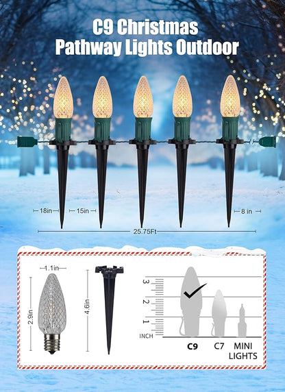 C9 Christmas String Lights Outdoor - 20 LED Pathway Light with Strawberry Shell and Stake Connectable Warm White High Voltage Waterproof for Driveways Xmas Holiday Patio Decoration