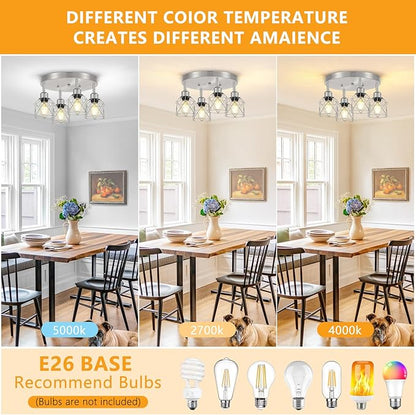 Baocuz 4-Light Brushed Nickel Kitchen Light Fixtures, Modern Hallway Light Fixtures Ceiling, Adjustable Multi-Directional Indoor Silver Metal Cage Close to Ceiling Lights for House Bedroom
