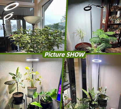 Grow Lights for Indoor Plants, Full Spectrum LED Plant Light with Stand, 67" Adjustable Height, 3/9/12H Timer, 10 Dimmable Levels & 3 Lighting Modes