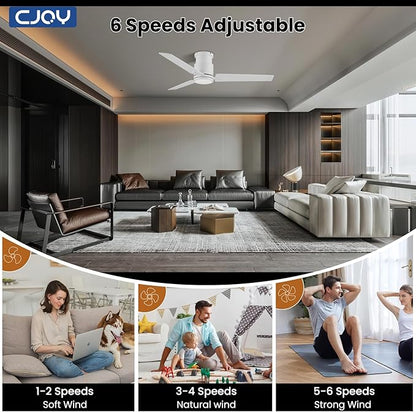 CJOY Ceiling Fan with Lights, 48 Inch Low Profile Ceiling Fans with Light and Remote, Reversible DC, Flush Mount, 3CCT，Dimmable, Modern Indoor/Outdoor Design for Bedroom, Living Room, Patio, Kitchen