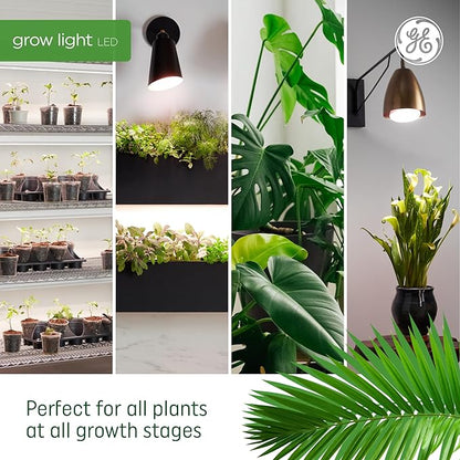 GE Grow Lights for Indoor Plants, BR30 Indoor Floodlight, LED Light Bulbs for Seeds and Greens, Balanced Light Spectrum, 25,000 Hours Lifespan, 16 PPF, 4 Pack (Packaging May Vary)