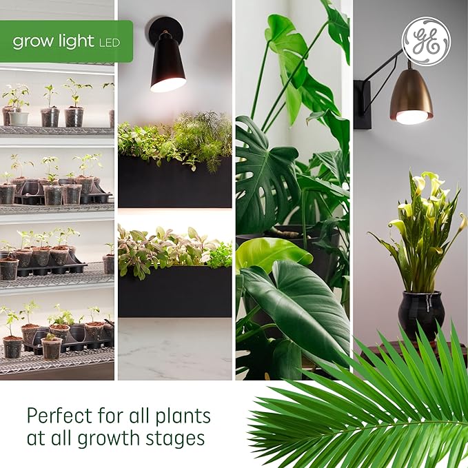 GE Grow Lights for Indoor Plants, BR30 Indoor Floodlight, LED Light Bulbs for Flowers and Fruit, Advanced Red Light Spectrum, 25,000 Hours Lifespan, 15 PPF, 4 Pack (Packaging May Vary)