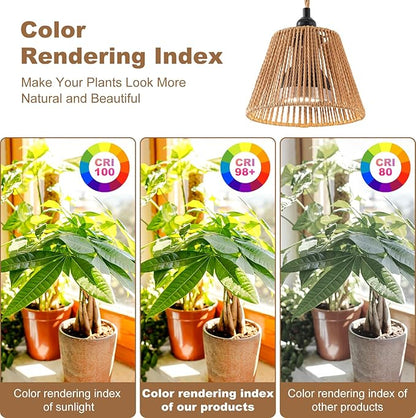 Hanging Grow Light for Indoor Plants, 30W 4000K Full Spectrum LED Pendant with Timer, Hand-Woven Shade, 15FT Cord, Kit for Seedlings, Succulents, Bright Living Rooms
