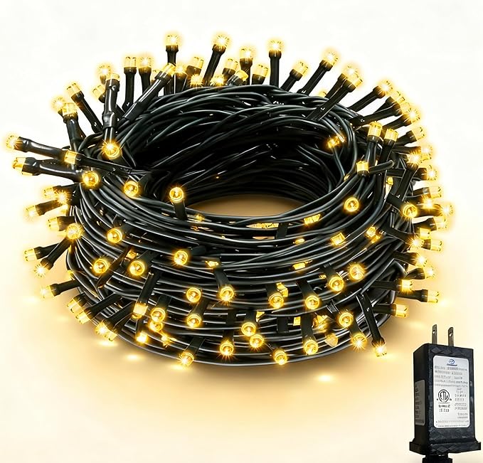 RPGT Christmas Light 100 LEDs 41ft Green Cable Wire Fairy String Twinkle Lights Plug in 12 Modes for Xmas Tree, Party, Indoor,Outdoor, Garden, Wedding, Home Decoration (Warm White)