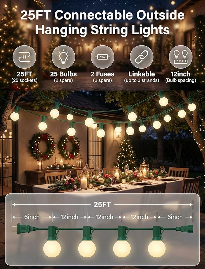 25FT G40 Frosted Christmas Lights,Globe Christmas Lights with 27 Frosted White Bulbs,Outdoor String Lights for Outside Indoor Garden Wedding Pergola Backyard Patio Xmas Tree Decor,Green Wire