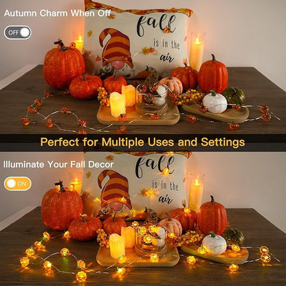 suddus 3D Pumpkin Lights,12.8ft 40 LED Fall Lights Battery Operated with Remote& 8 Modes & Timer, Waterproof Thanksgiving Decorations for Indoor Outdoor Home,Party,Harvest,Hallowee,Thanksgiving Décor