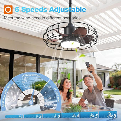 addlon 20 Inch Outdoor Ceiling Fan with Light for Patio, IP65 Waterproof Plug in Caged Hanging Fan, Remote Control, 3 CCT, 6 Speeds Reversible Outdoor Fan for Gazebo, Pergola, Porch