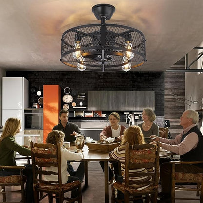 Depuley Outdoor Ceiling Fan with Light: 20" Caged Ceiling Fans with Remote Control for Patio Kitchen Bedroom - Farmhouse Fandelier Flush Mount Lights Fixture Reversible 6 Speed Timer Black