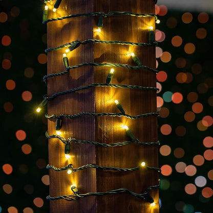 Novelty Lights 50ft 100 LED Warm White Christmas Lights Outdoor/Indoor, 6" Spacing, Green Wire String Lights for Festive Xmas Lighting, IP55, UL Listed, Dimmable, Connectable