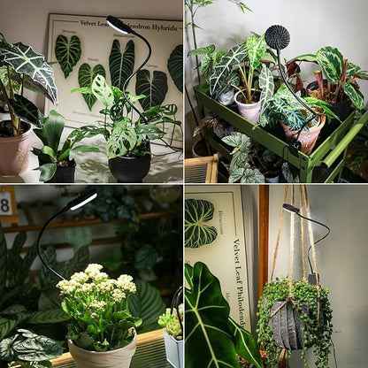 Grow Lights Indoor, Clip On Plant Lights for Indoor Growing, Full Spectrum LED Plant Grow Lamp, Auto Timing 4/8/12Hrs, 12W 4000K Pot Plant Growing Lamps with 4 Levels Dimmable Black, 2 Pack