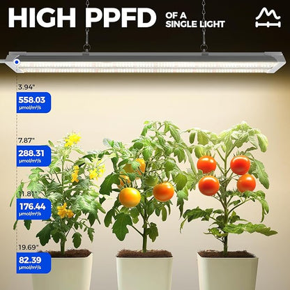 Barrina TX36 2FT LED Grow Light, 144W(4 x 36W, 800W Equivalent), High PPFD, Full Spectrum, Mechanical Timer, Hanging Plant Lights for Indoor Growing, Seedlings with On/Off Switch, Linkable, 4 Packs