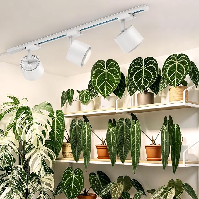 Barrina TR40c Track Grow Light for Indoor Plants, 15°-60° Adjustable Beam Angle, 3 x 40W, 4000K Full Spectrum LED Plant Lights, Plug in Ceiling Mounted Grow Bulbs for H-Type Track with Timer, White