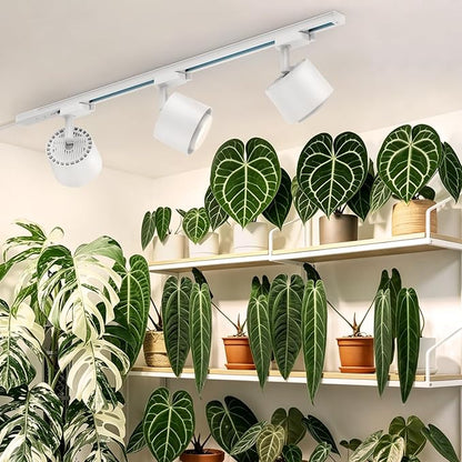 Barrina TR40c Track Grow Light for Indoor Plants, 15°-60° Adjustable Beam Angle, 3 x 40W, 4000K Full Spectrum LED Plant Lights, Plug in Ceiling Mounted Grow Bulbs for H-Type Track with Timer, White