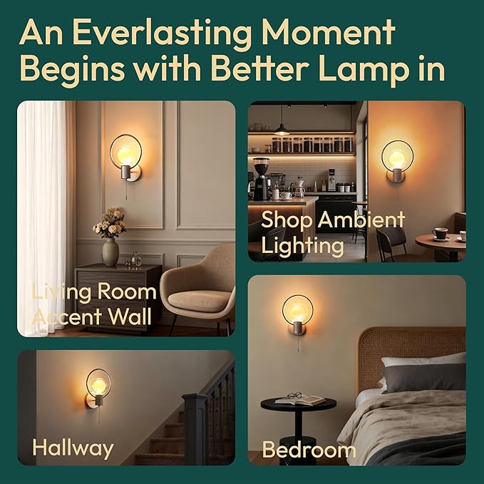 ALAMPEVER Modern Wall Sconce with Pull Chain, Metal Silver Wall Lights with G125 Glass Globe Bulb, Wall Mount Light for Enhancing Indoor Ambience in Bedroom, Living Room, and Hallway, 1 Pack