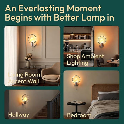 ALAMPEVER Modern Wall Sconce with Pull Chain, Metal Silver Wall Lights with G125 Glass Globe Bulb, Wall Mount Light for Enhancing Indoor Ambience in Bedroom, Living Room, and Hallway, 1 Pack