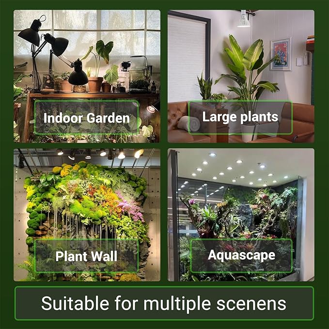 RDJ Bouns Dimmable Led Grow Light Bulb with Remote & Timer, 26W Full Spectrum Plant Bulb for Indoor Plants, Auto On/Off 4/8/12H, Natural White PAR38 Grow Lamp for Succulents, Seeds, E26 Base