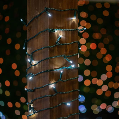 Novelty Lights 25ft 50 LED Pure White Christmas Lights Outdoor/Indoor, 6" Spacing, Green Wire String Lights for Festive Xmas Lighting, IP55, UL Listed, Dimmable, Connectable